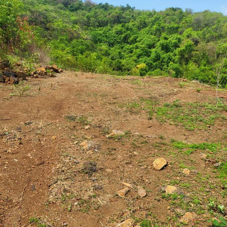  plots shrivardhan Plot