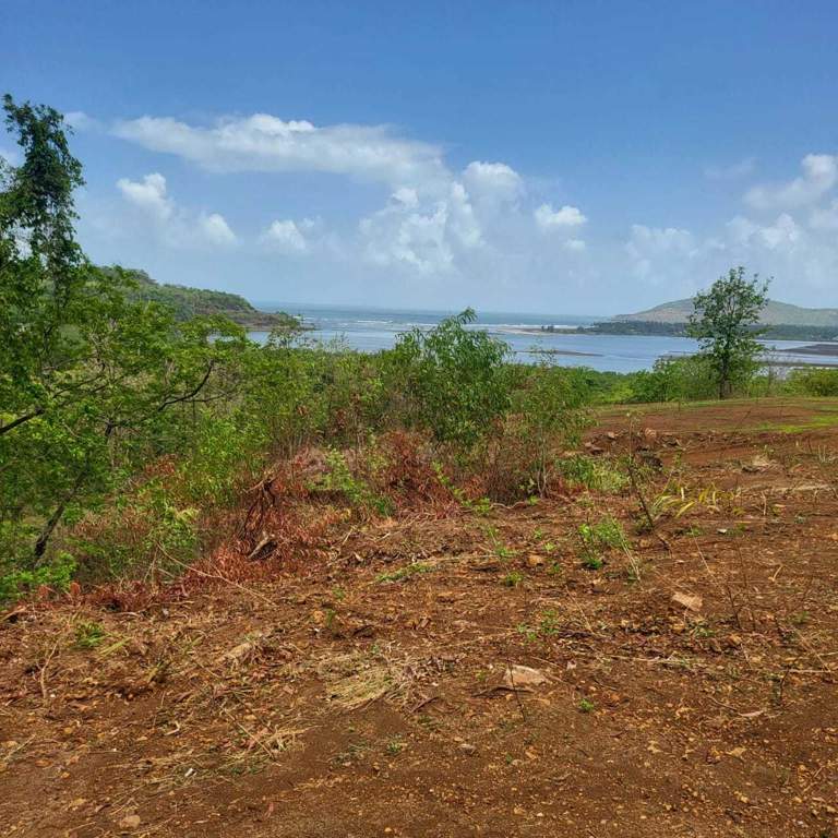  plots shrivardhan Plot