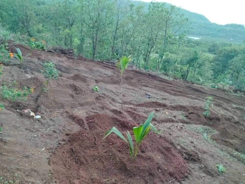  plots shrivardhan Plot