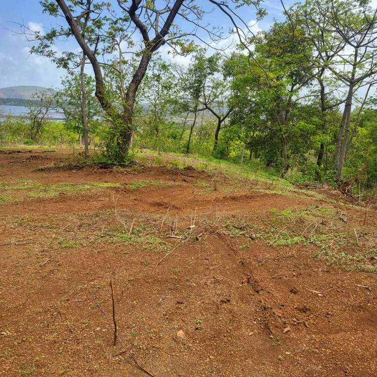  plots shrivardhan Plot