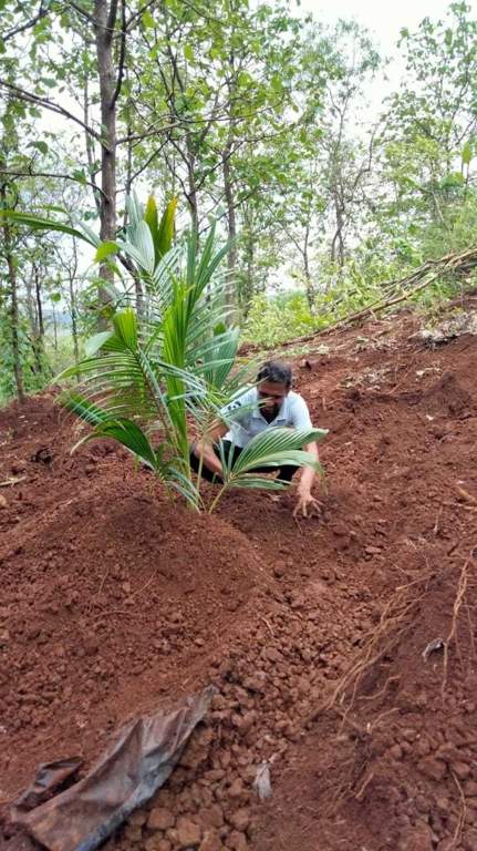  plots shrivardhan Plot