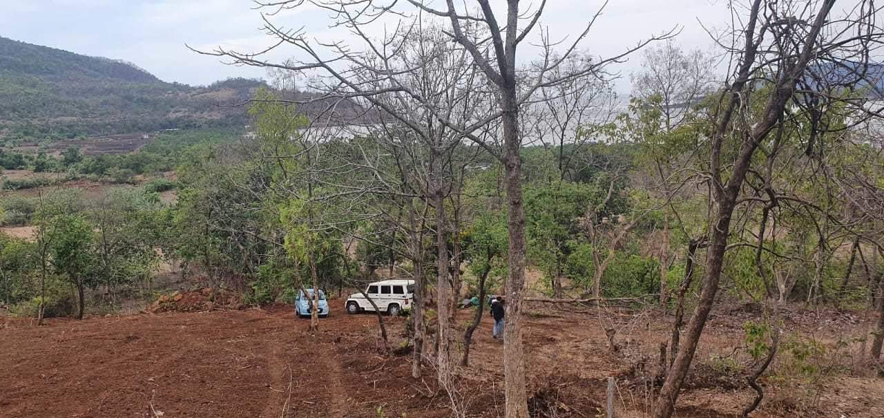  plots shrivardhan Plot