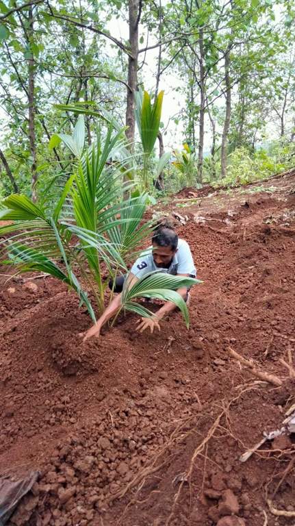  plots shrivardhan Plot