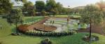  lake-front-estates Landscape Garden and Tree Planting