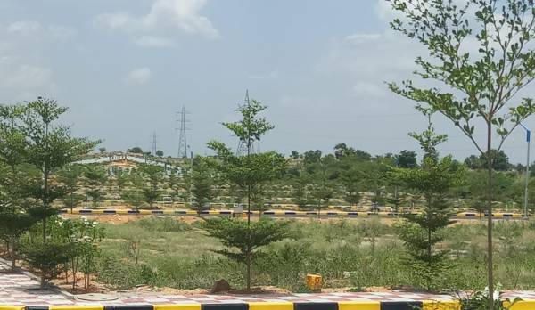 Elevation prime-valley Elevation