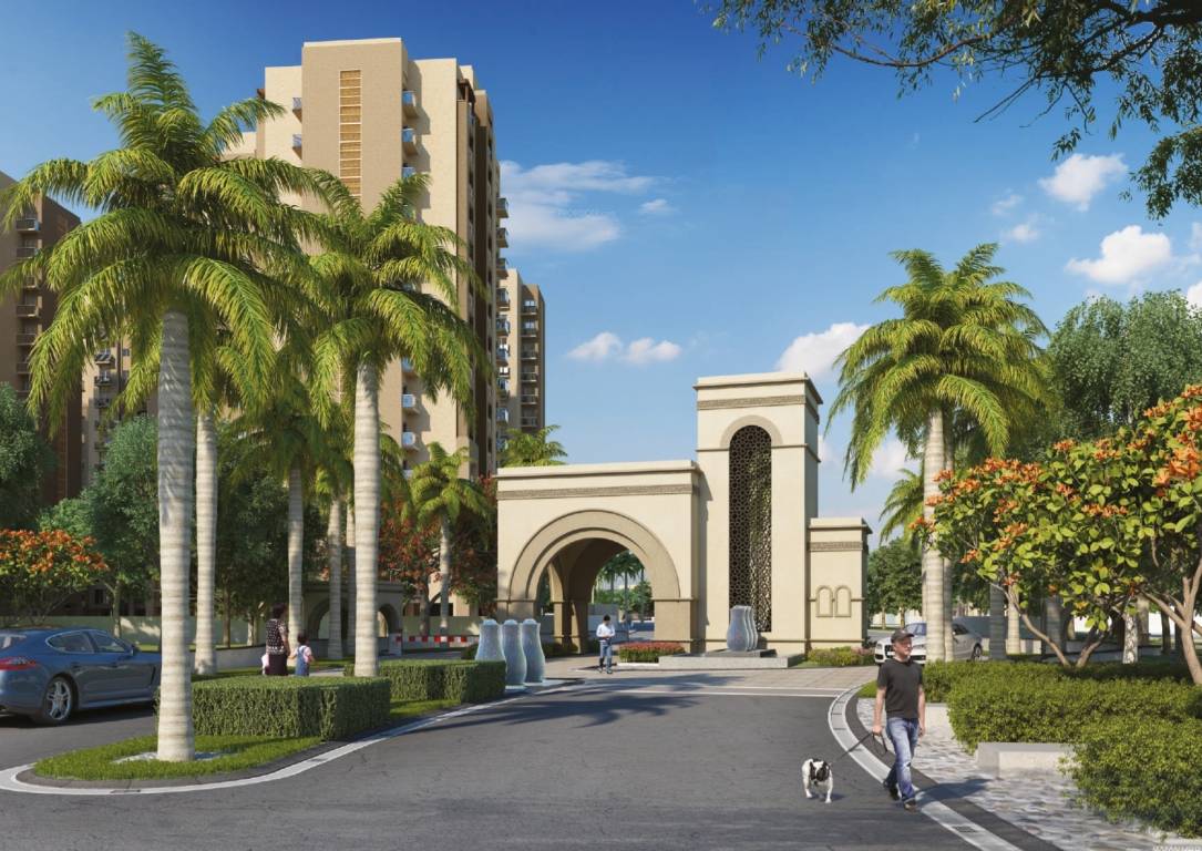  garden bay crown Others