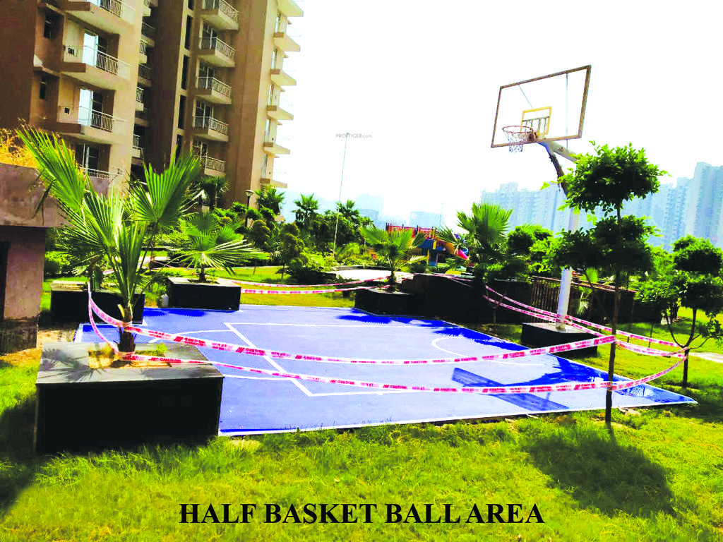  greenshire Basketball Court