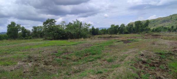  plots-in-chirle Elevation