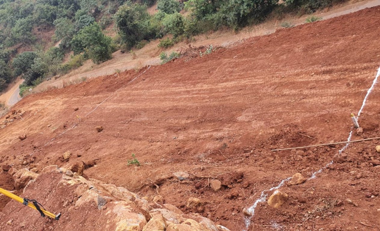  plots in chirle Plot