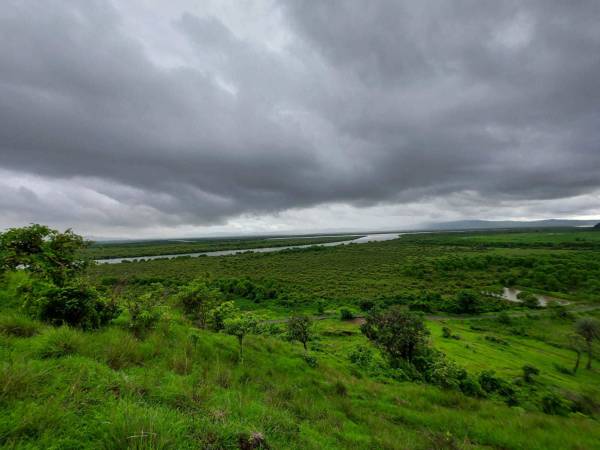 Elevation land-plots-in-ranjanpada Elevation