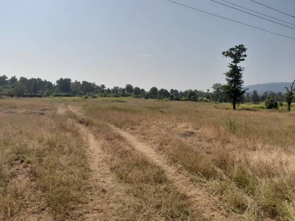 land-plots-in-ranjanpada Plot