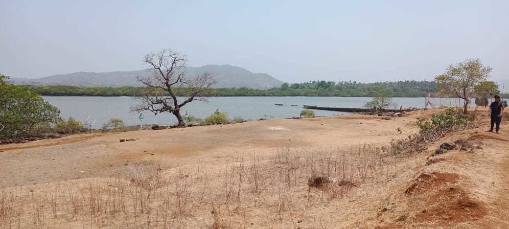  land plots in belondekhar Plot