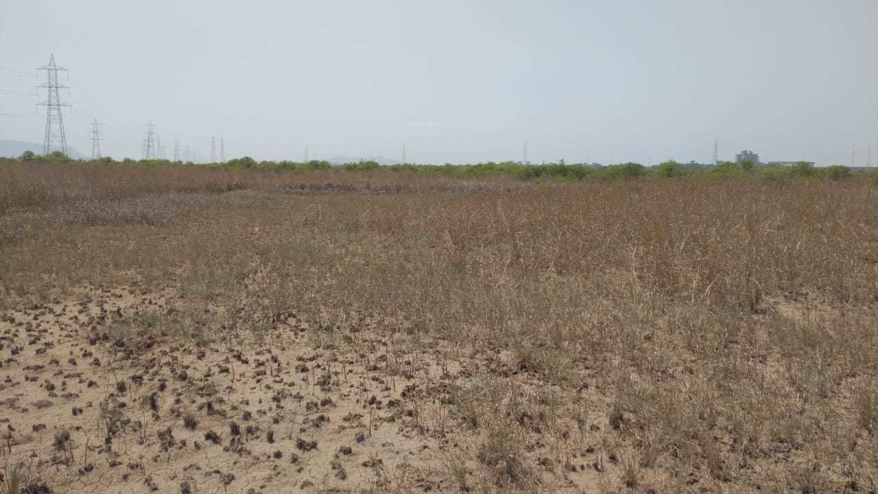  land plots in belondekhar Plot