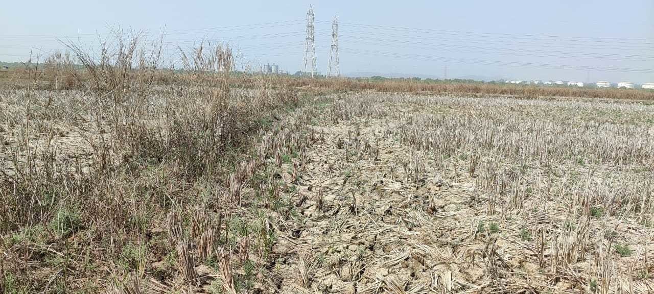  land plots in belondekhar Plot