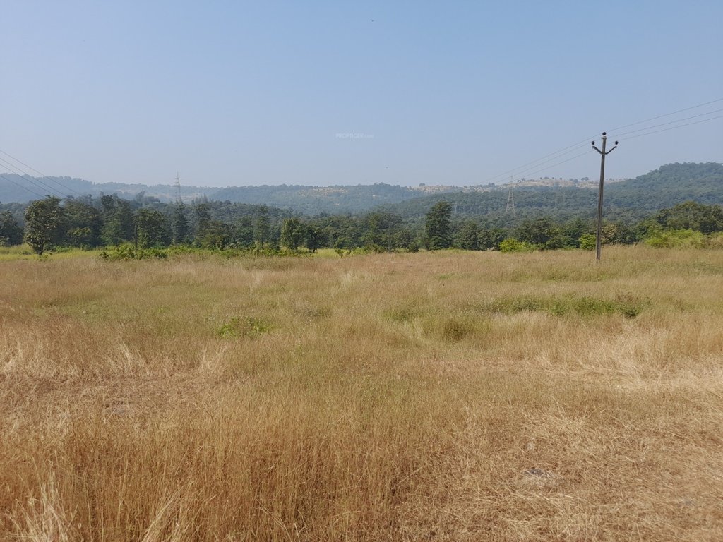  land plots in belondekhar Plot