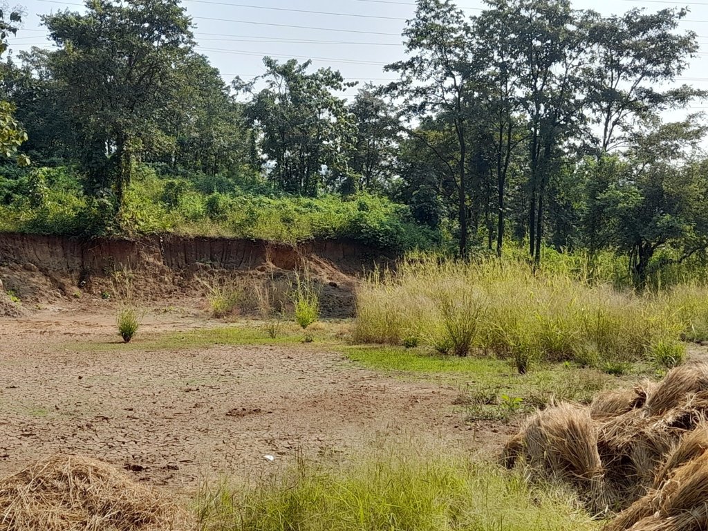  land plots in belondekhar Plot