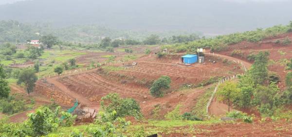  plots-in-panvel Plot