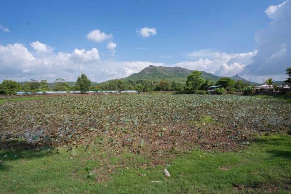 Elevation plots-in-dronagiri Elevation