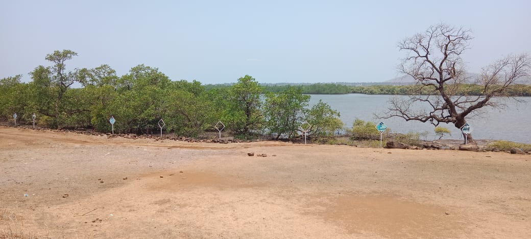  plots in alibag Plot