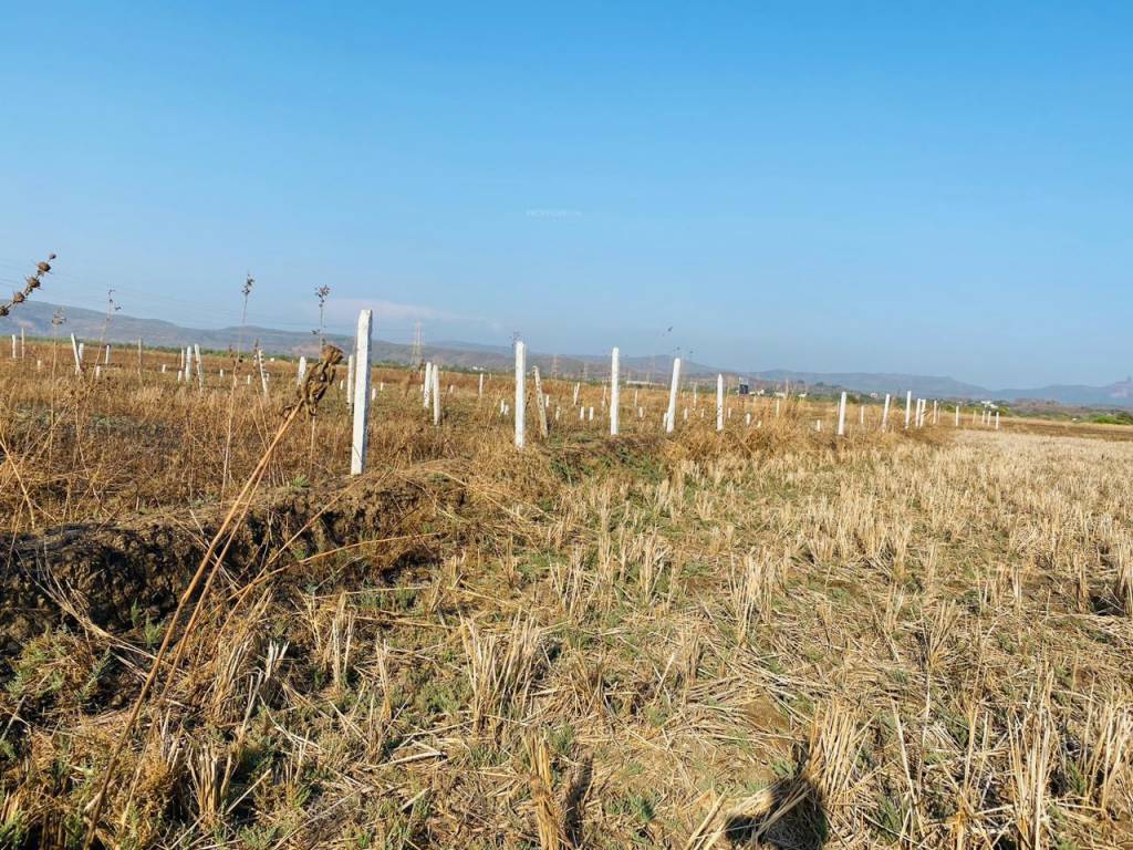  plots in alibag Plot