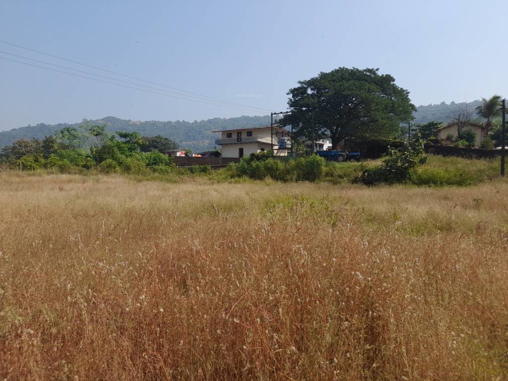  plots in alibag Plot