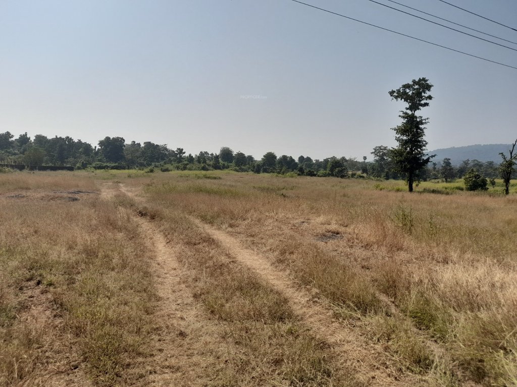  land plots in igatpuri Plot