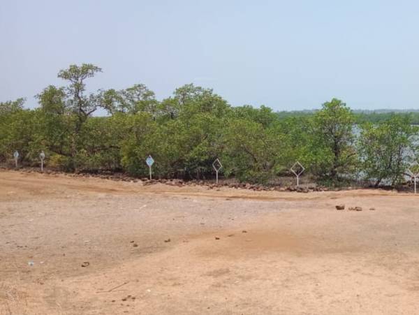  plots-in-satpur Plot