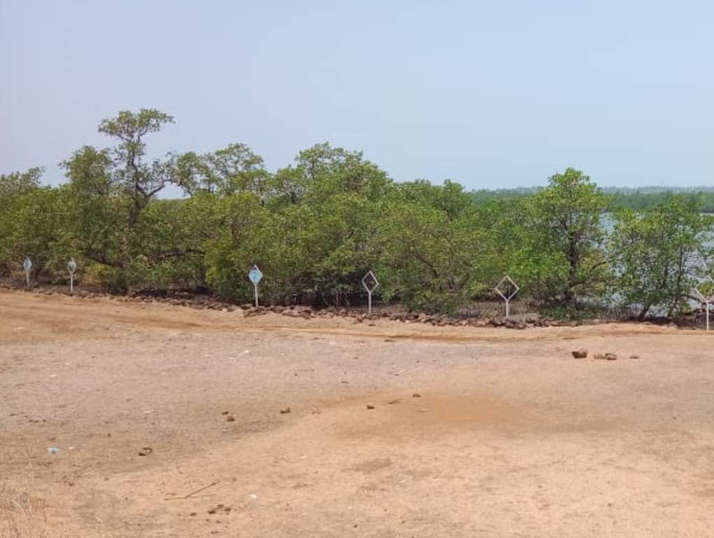  plots in satpur Plot