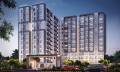 Oceanus Group White Meadows