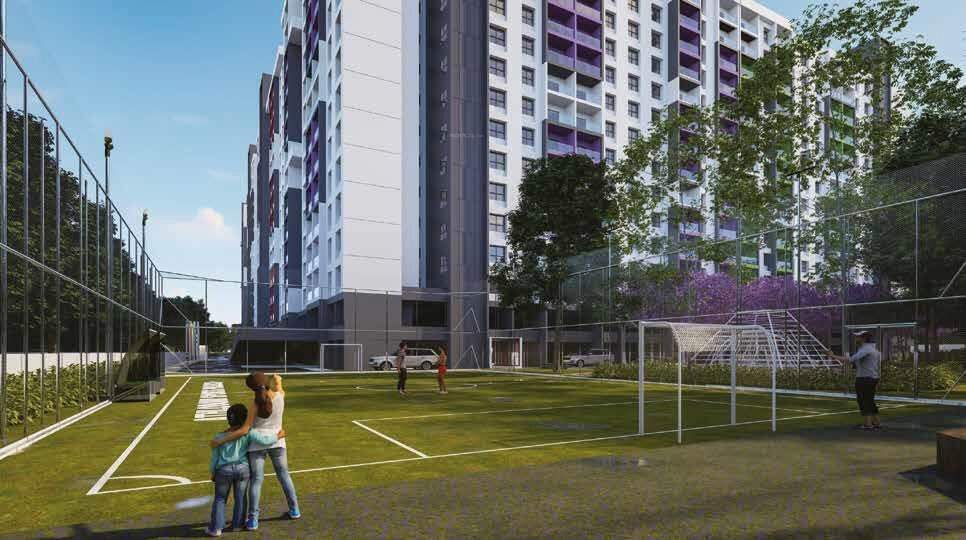 famville Cricket arena