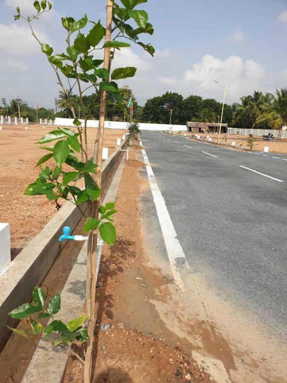 the elite enclave Plot