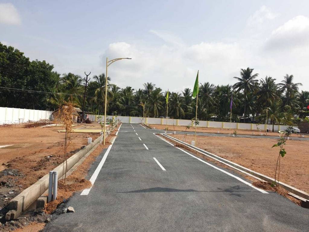 the elite enclave Plot