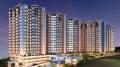 Basil Associates Serenity
