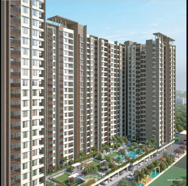  que 914 phase ii Elevation