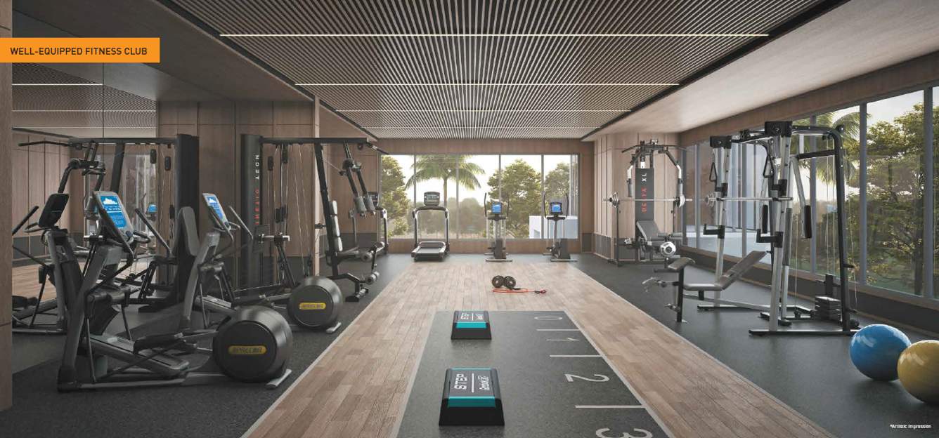  que 914 phase ii Gymnasium