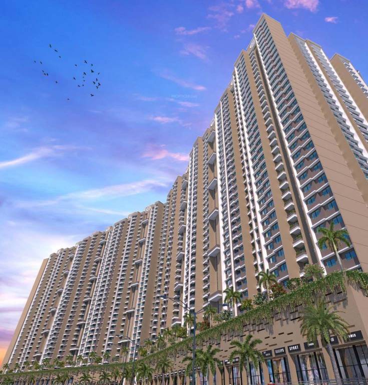 dolce vita Elevation