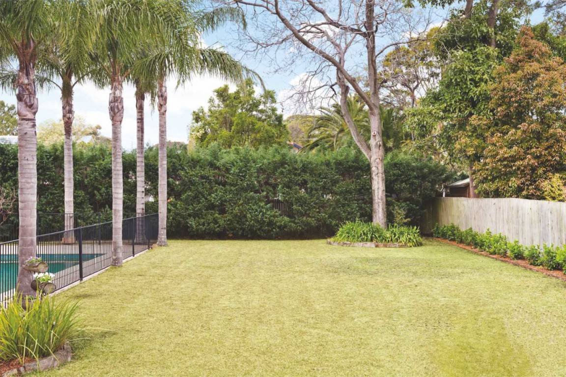  mohidins hamlet by the bay Plot