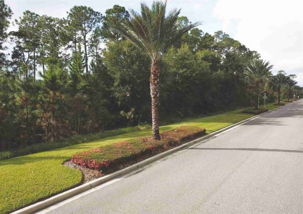  mohidins-hamlet-by-the-bay Plot