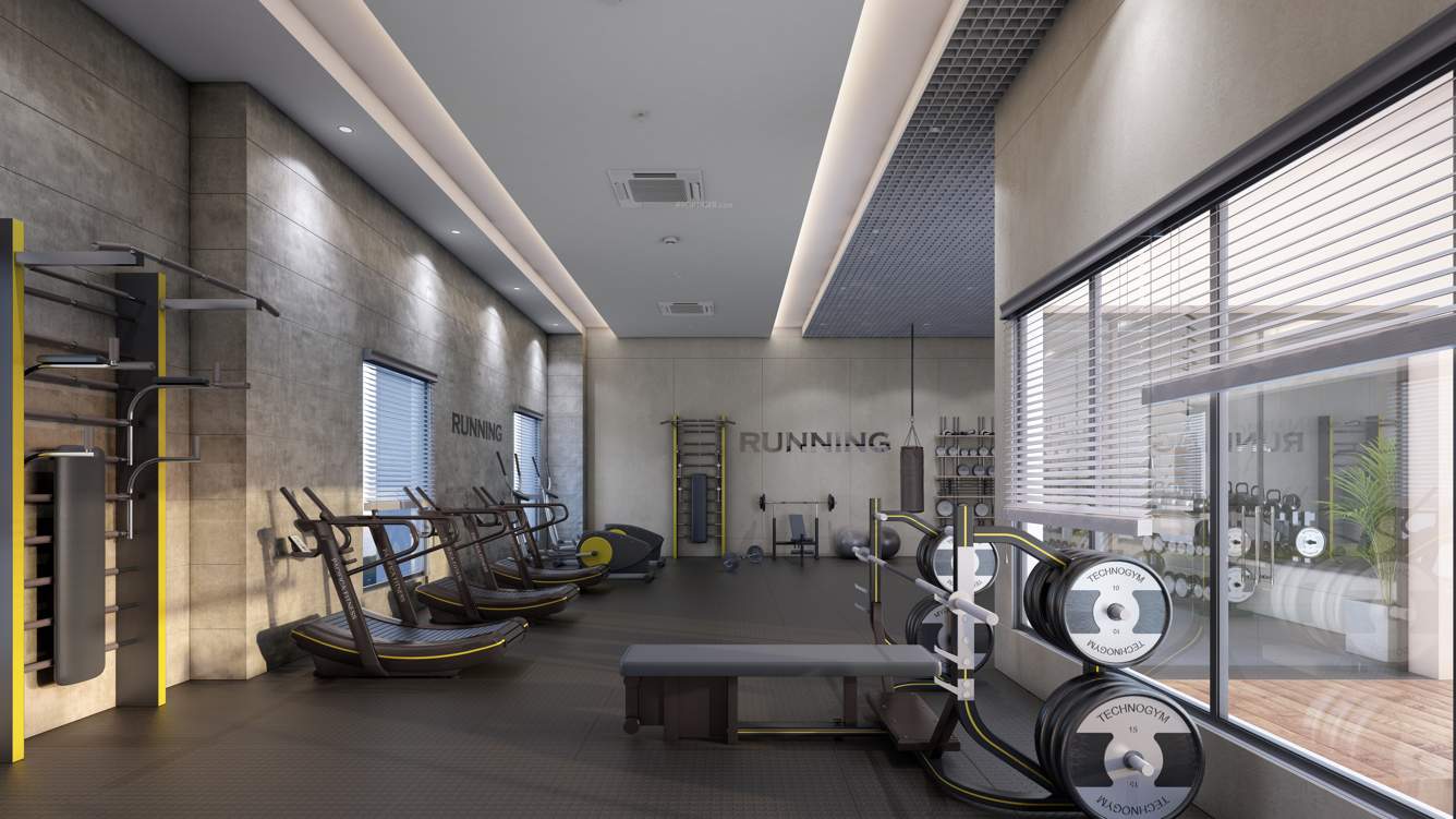  mayfair majestic Gymnasium