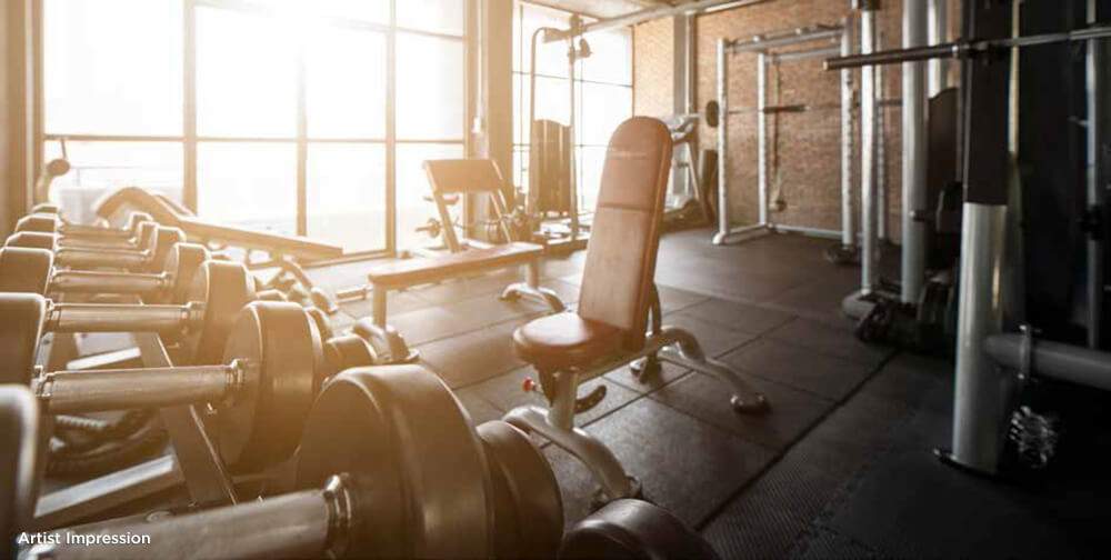  life republic sector r31 24k espada Gymnasium