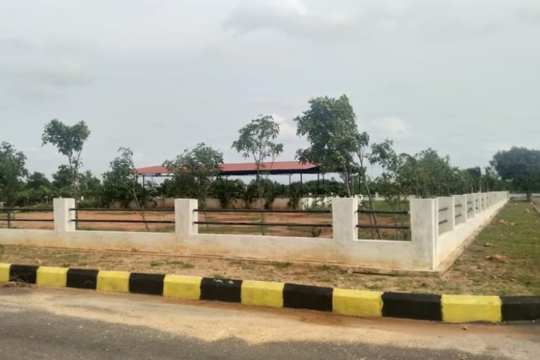  paradise city phase 3 Elevation