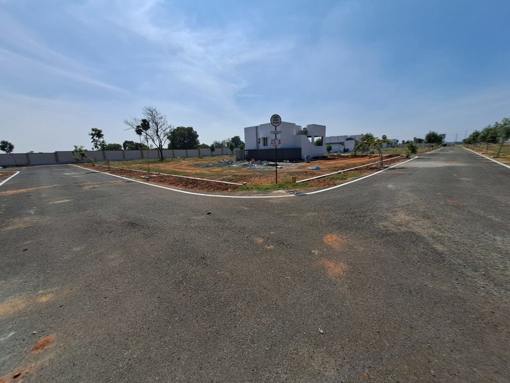 crown city Elevation