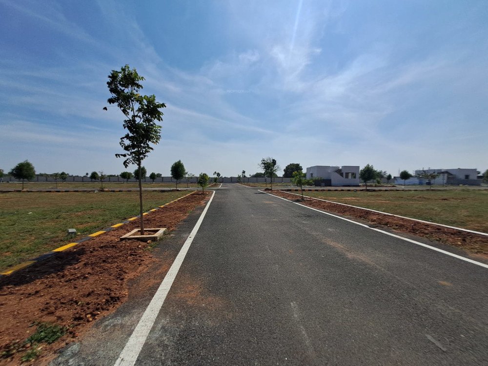 crown city Elevation