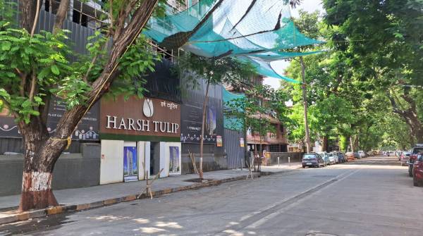  tulip Harsh Tulip Construction Status Dec-24