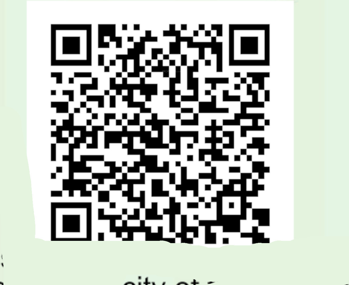 QR Image