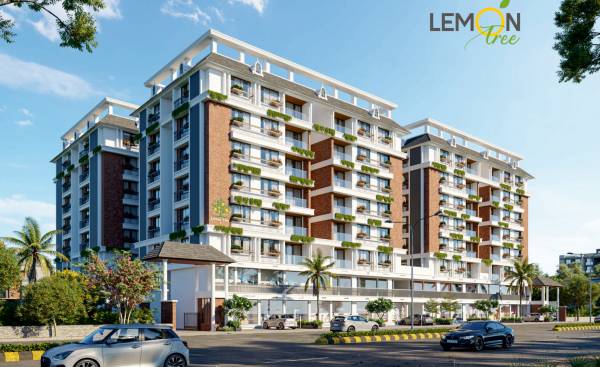  lemon-tree Elevation