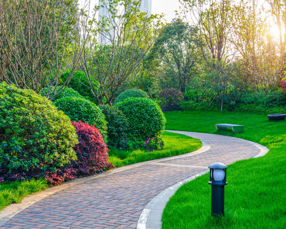  sai-proviso-atlantis Jogging Track