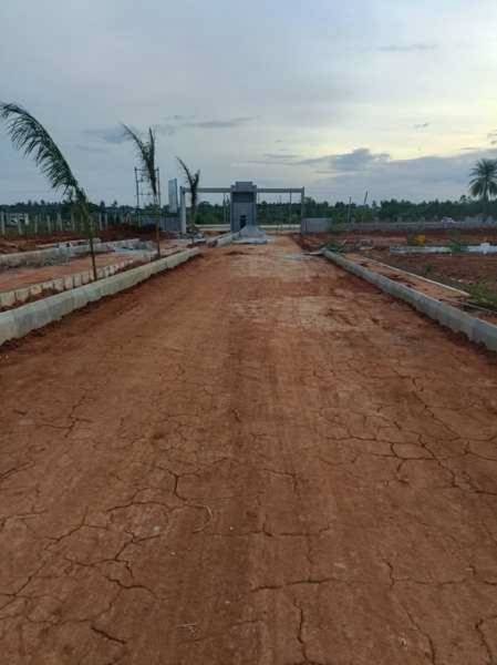  v-r-greencity Elevation