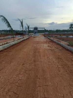 v-r-greencity Elevation Elevation