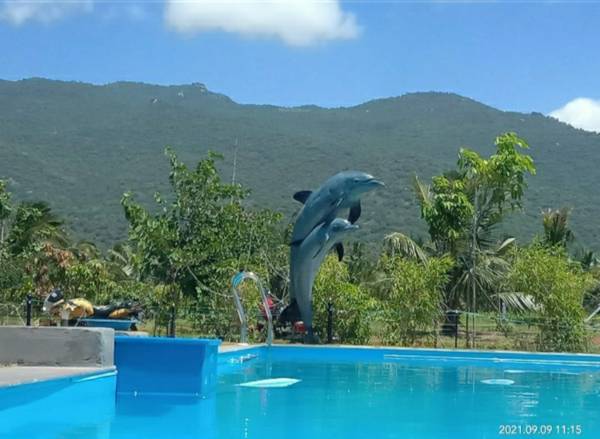 Swimming Pool royal-villas Swimming Pool